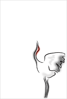 鶴